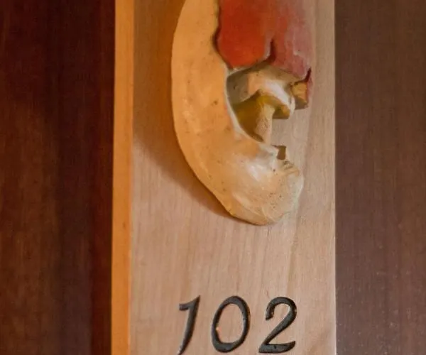 Saueth Hotel